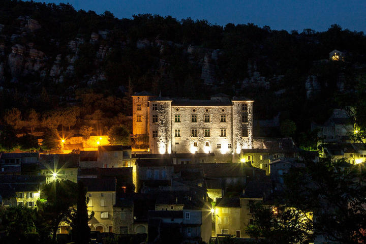 Château de Vogüé