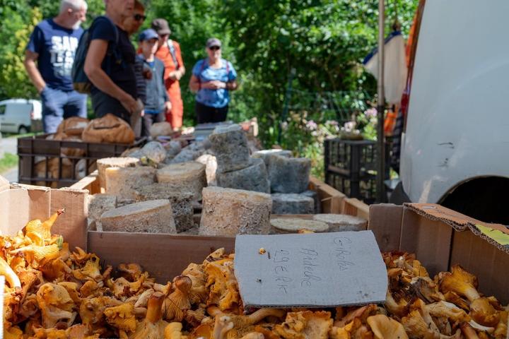 Péreyres - Fête de la myrtille - fromages et champignons ©sourcesetvolcans Péreyres - Fête de la myrtille - fromages et champignons ©sourcesetvolcans