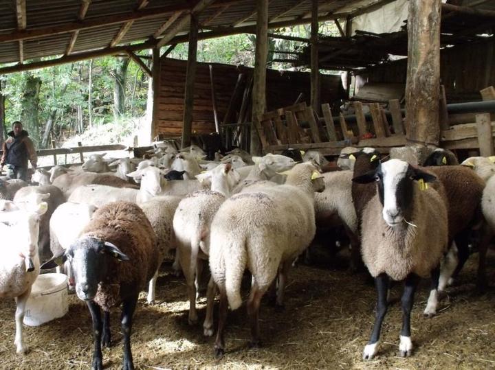 La ferme de Bardy