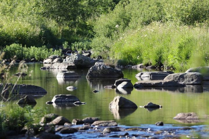 rivière de la bourges ©o.mathis rivière de la bourges ©o.mathis