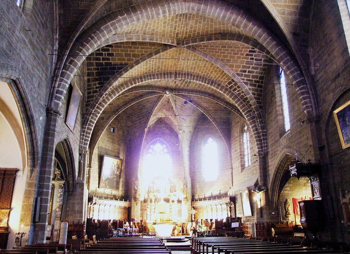 Collégiale Saint-Gal Nef