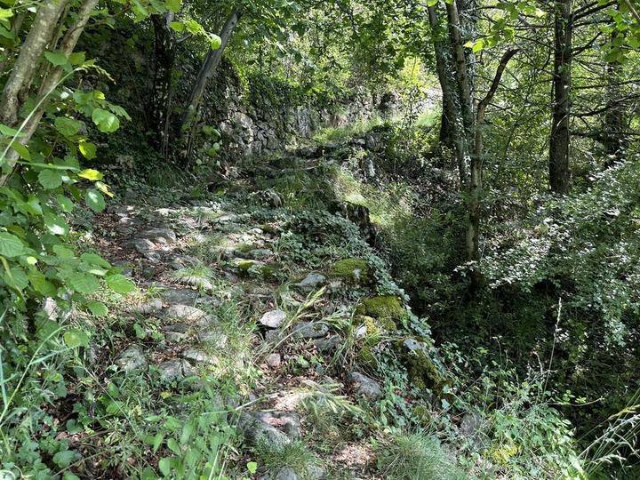 Barnas - Balade au sentier botanique - montée ©sourcesetvolcans Barnas - Balade au sentier botanique - montée ©sourcesetvolcans