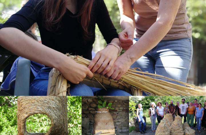 Stage ruche ©lamessicole Stage ruche ©lamessicole