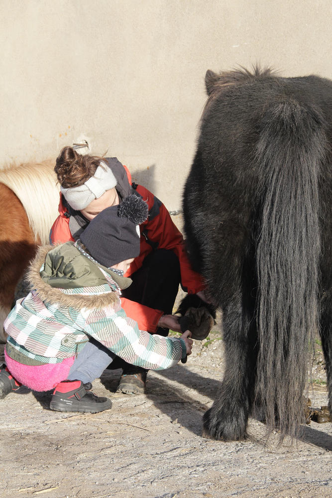 balade poney visite de ferme