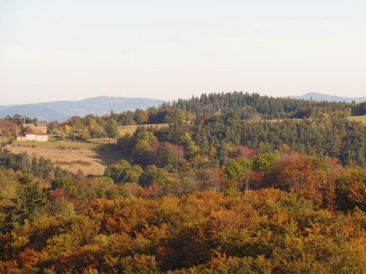 Ally Automne