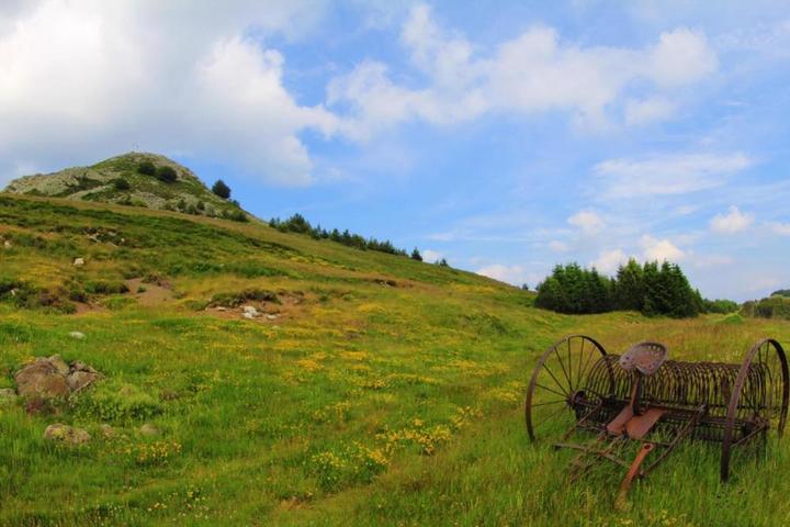 Suc de Montivernoux