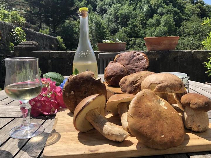 La nature est généreuse... petite promenade d'une demi-heure ce matin à coté de la maison et... 1 Kg de cèpes