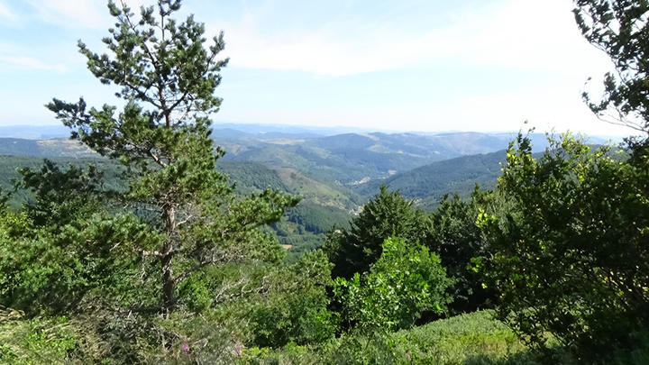 Le Coudoulet