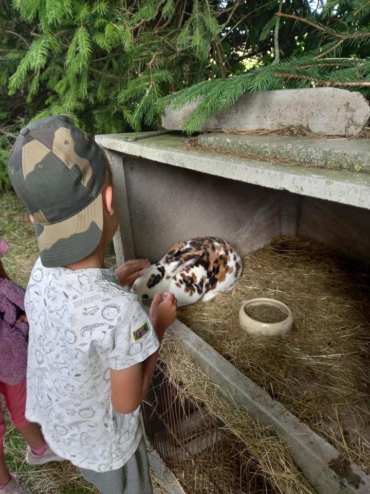 Découverte de la ferme Découverte de la ferme