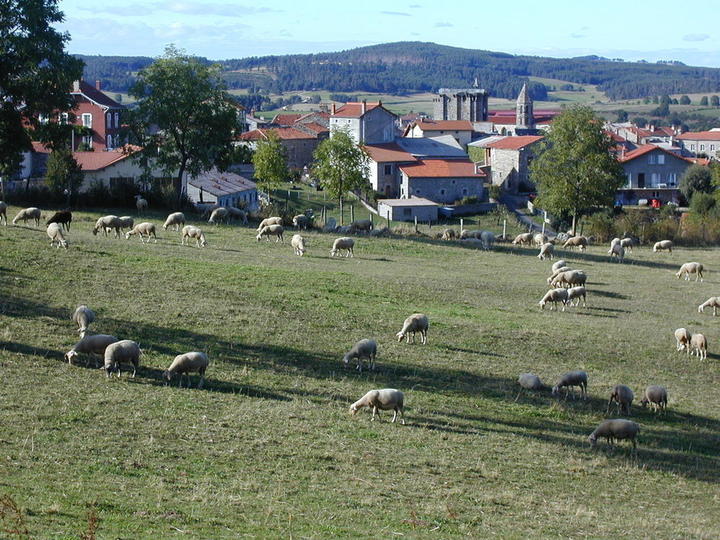 Marché_à_Saugues