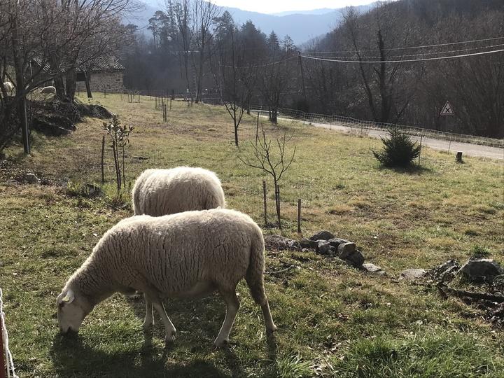Le Vésinat