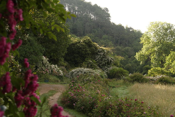 Roseraie de berty