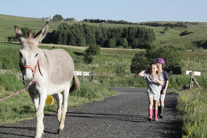 A la bonne Fourche visite de ferme
