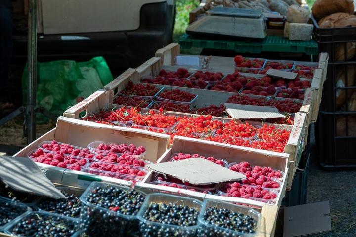 Péreyres - Fête de la myrtille - stands de fruits de saison©sourcesetvolcans Péreyres - Fête de la myrtille - stands de fruits de saison©sourcesetvolcans