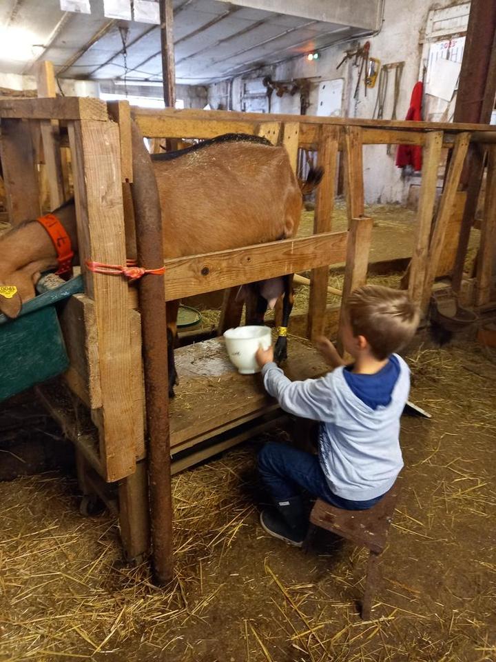 Découverte de la ferme Découverte de la ferme