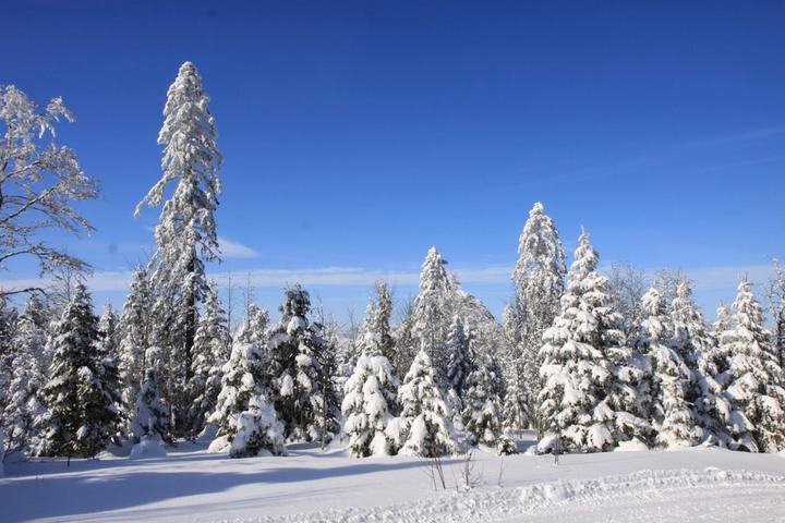 La forêt des monts d'Ardèche sous la neige ©o.mathis La forêt des monts d'Ardèche sous la neige ©o.mathis