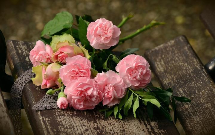roses ©pixabay roses ©pixabay