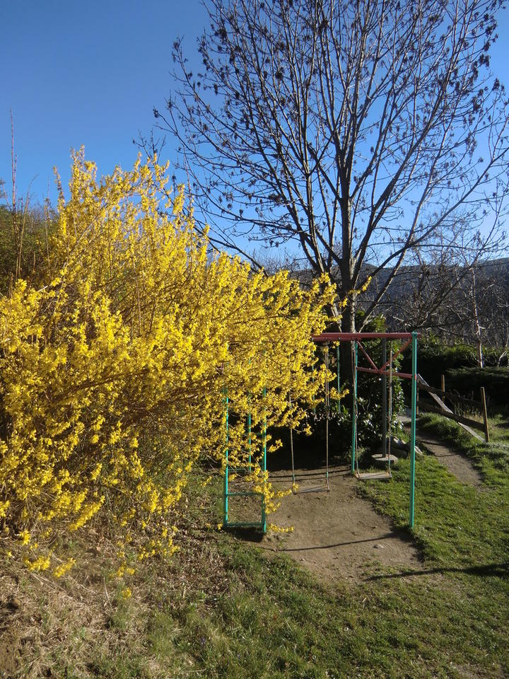 balançoire