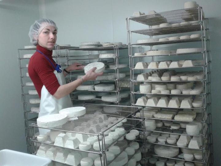 Fabrication des fromages à la ferme.