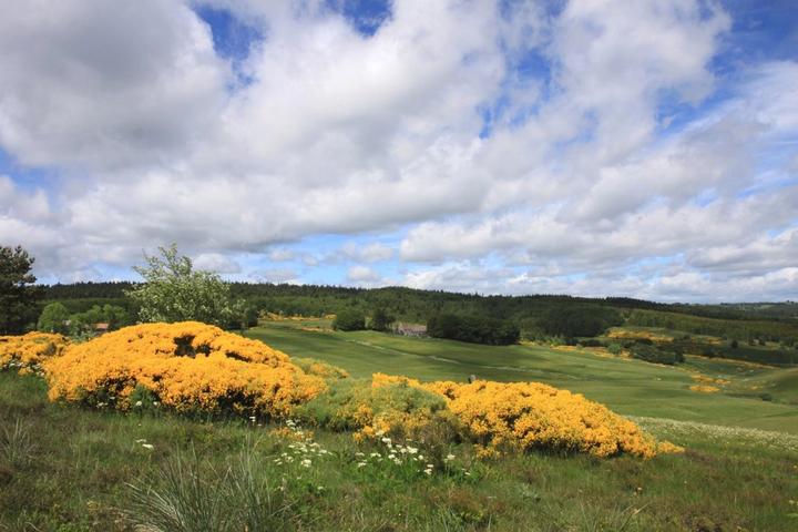 Paysage et terrain de chasse des rapaces ©o.mathis-mcrrando Paysage et terrain de chasse des rapaces ©o.mathis-mcrrando