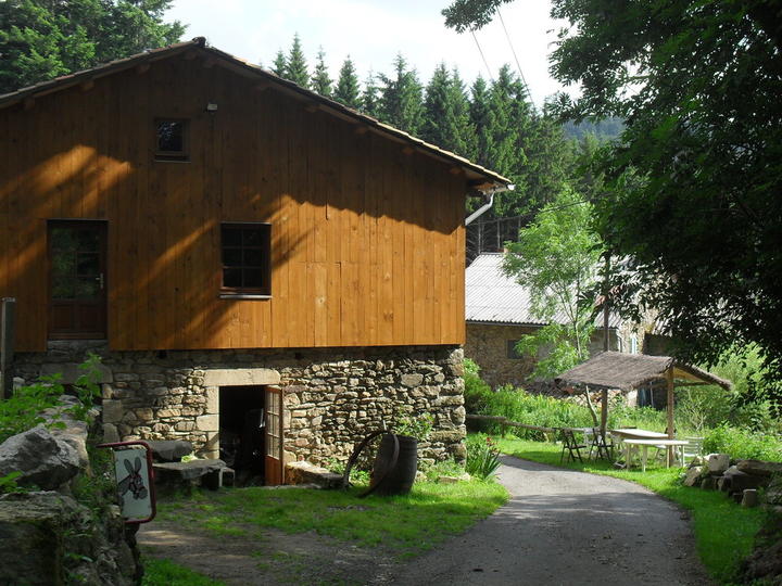SDC11379.jpg