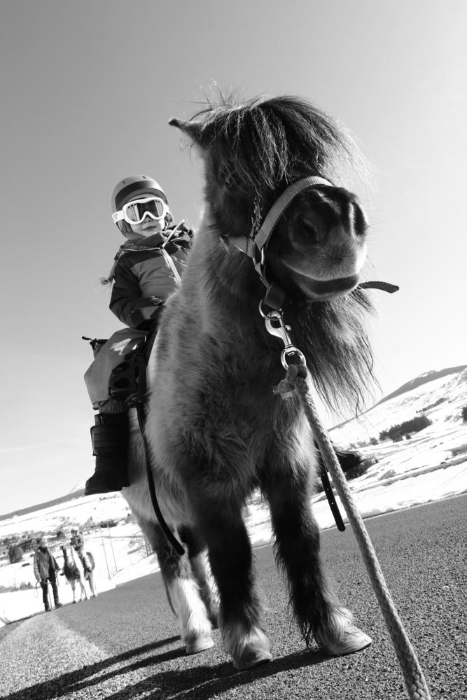balade poney visite de ferme